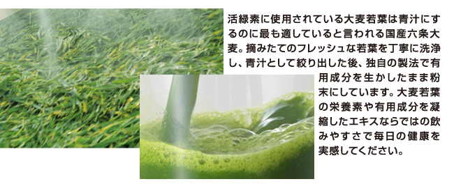 最前線の RM様専用 青汁 活緑素2袋 リーブ21 ryouen.jp
